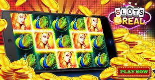 gbo77